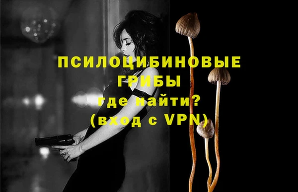 соль ск Остров
